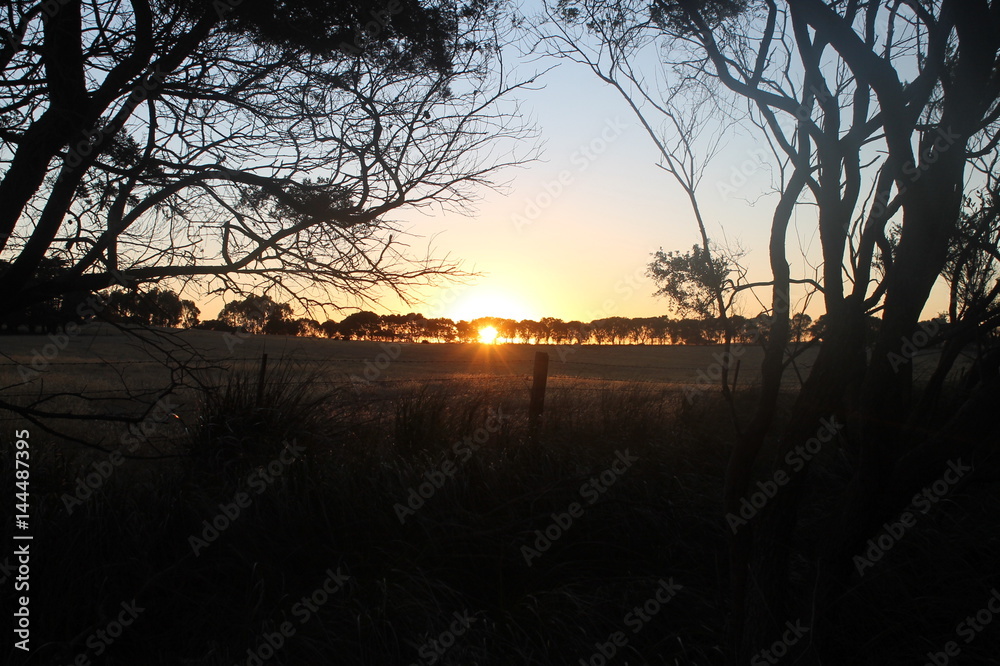 Naklejka premium The strength of the sun through the trees