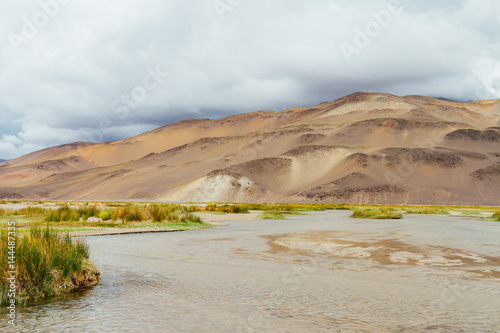 Stream of water with vicunas in the background in the Andes in Catamarca, Argentina