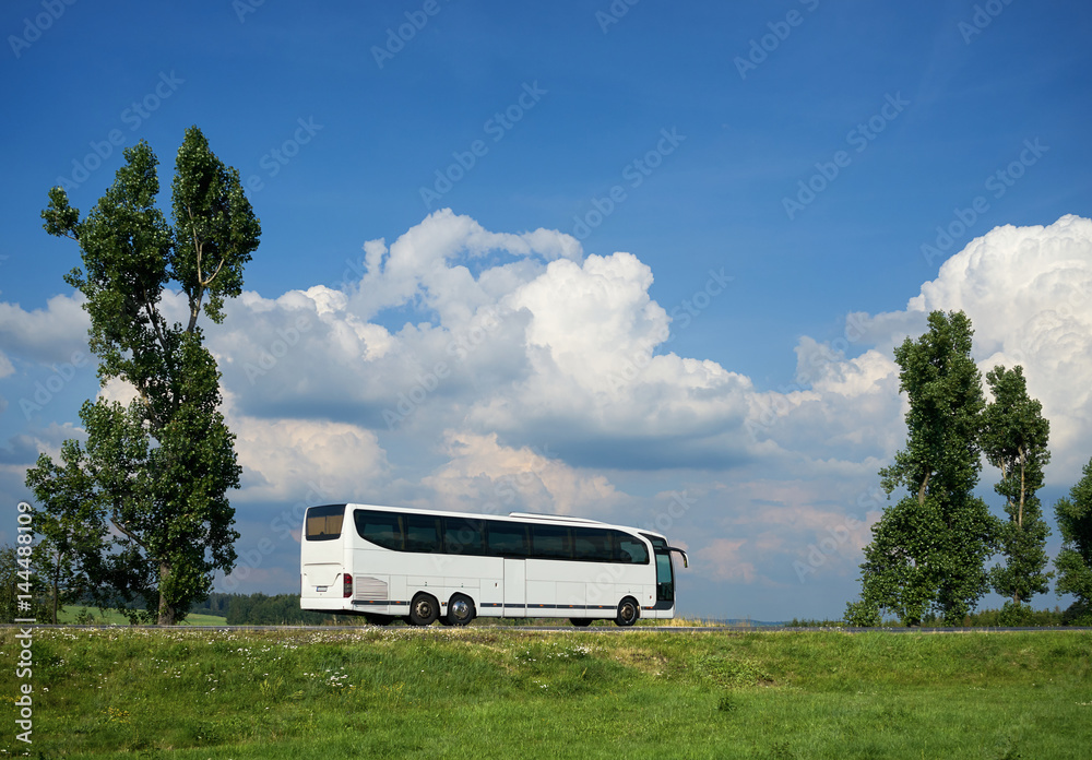 White bus traveling on a road between two tall trees in a rural landscape under a blue sky with dramatic white clouds