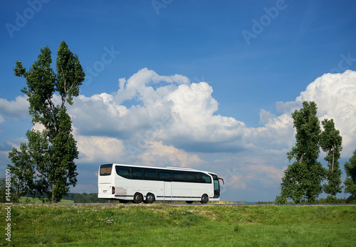 Obraz na płótnie White bus traveling on a road between two tall trees in a rural landscape under a blue sky with dramatic white clouds w salonie