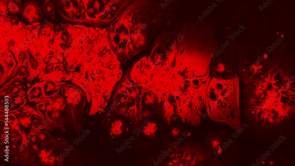 Laboratory Blood Test