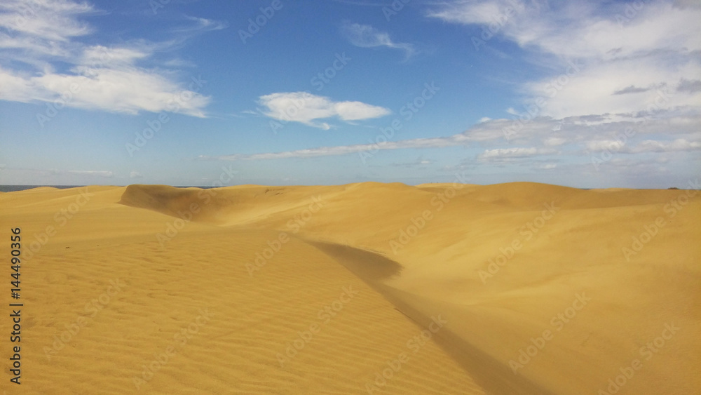 Beautiful sand dune in sunshine day at Maspalomas, Spain