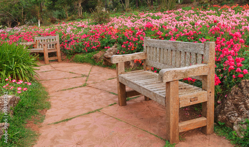 Fototapeta Naklejka Na Ścianę i Meble -  Bench wood in the garden, the royal agricultural Angkhangstation in chiangmai, North of Thailand.