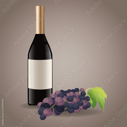 bottle wine grape drink image vector illustration eps 10