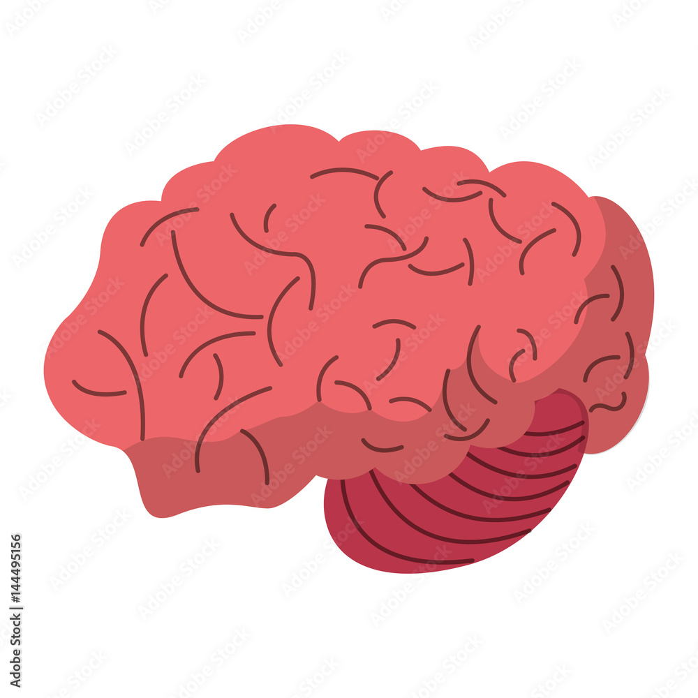 brain human process idea vector illustration eps 10 brain human process idea vector illustration eps 10
