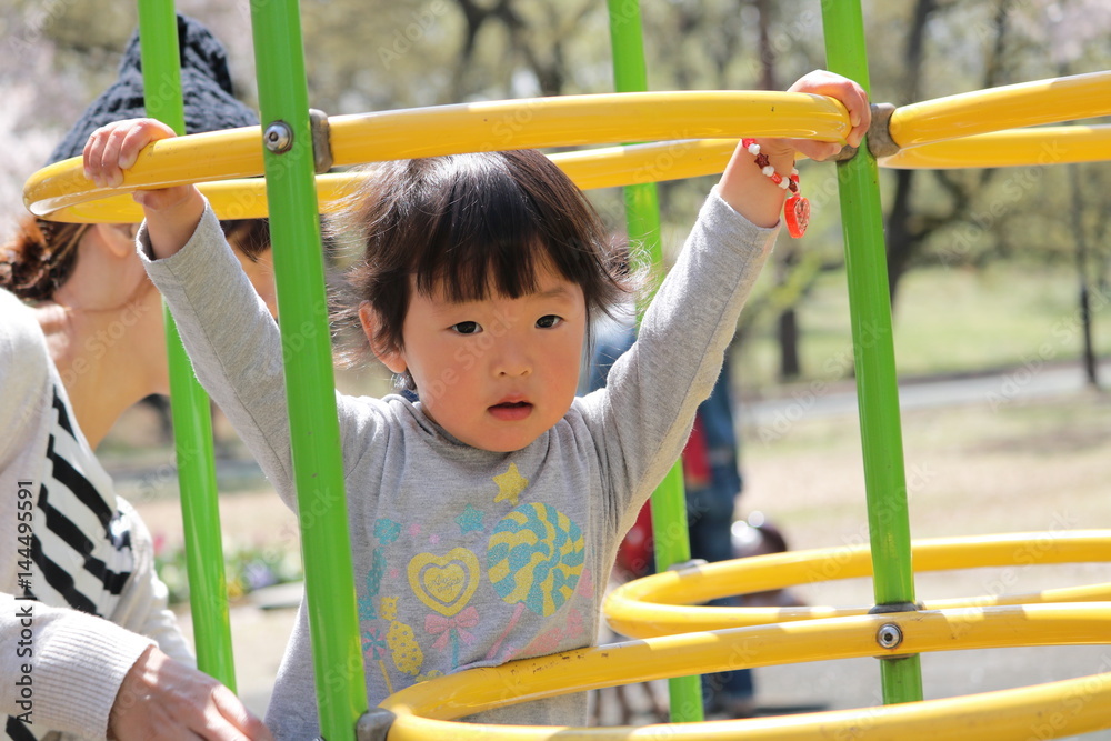Fototapeta premium ジャングルジムで遊ぶ女の子