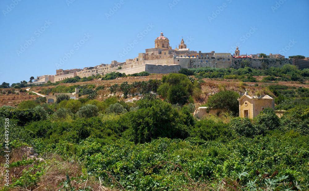 View of Mdina's St. Paul's Cathedral from the countryside below, Malta