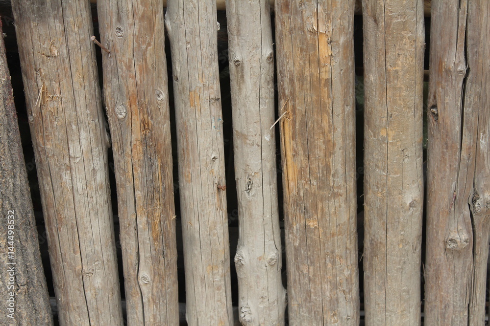 Obraz premium Wood Wooden Log Log Fence Outside Outdoor Tree Trees