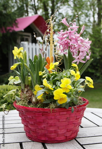Fototapeta Naklejka Na Ścianę i Meble -  Frühlingsblumen