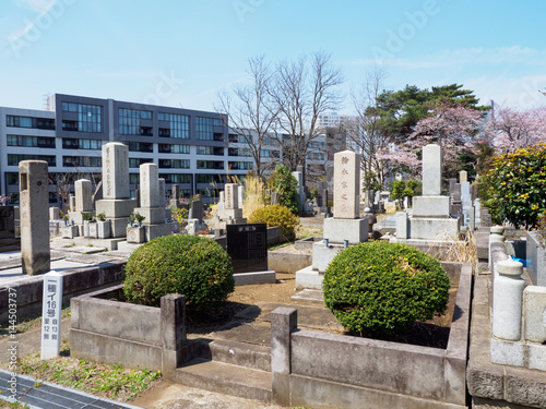 Japanese tomb 