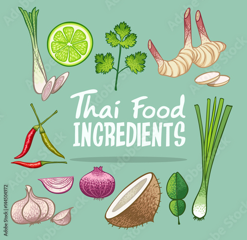 thai food ingredients doodle object