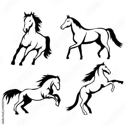 Vector set of black horse's head and mustang logo Isolated on white background