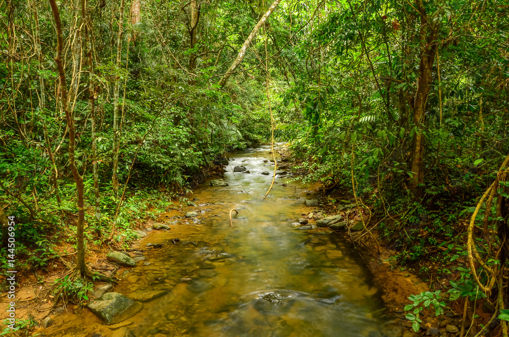 Waterway in natural public park Waterway in natural public park