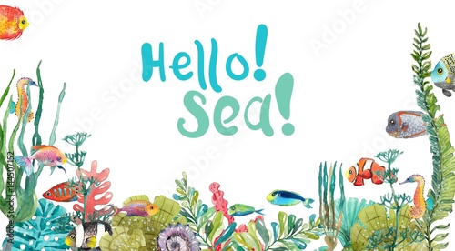 Obraz na płótnie Akwarela Sea Life, Seaweed, Shell, ryby, konik morski, piękne tło