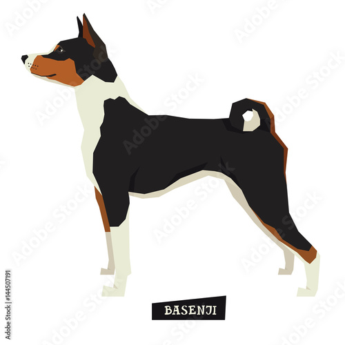 Dog collection Basenji Geometric style Isolated object
