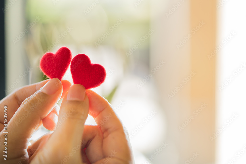 Female hands holding a couple red heart