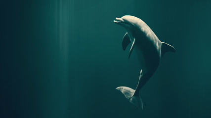 Fototapete Unterwasser Fröhlicher Delfin im klaren Ozean  © Ingo Menhard