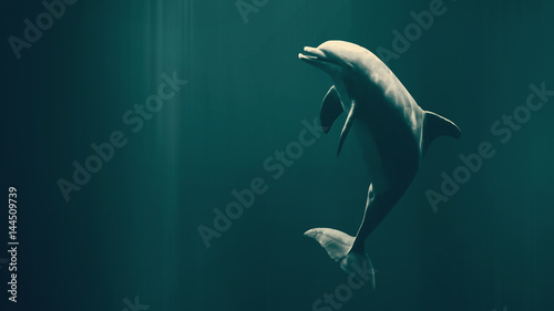 Canvas Print Happy swimming dolphin