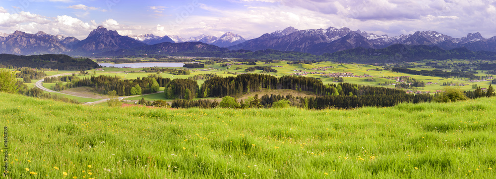Panorama Landschaft mit Frühlingswiese im Allgäu bei Füssen