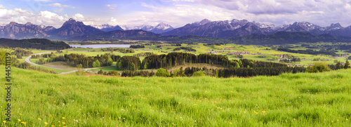 Panorama Landschaft mit Frühlingswiese im Allgäu bei Füssen