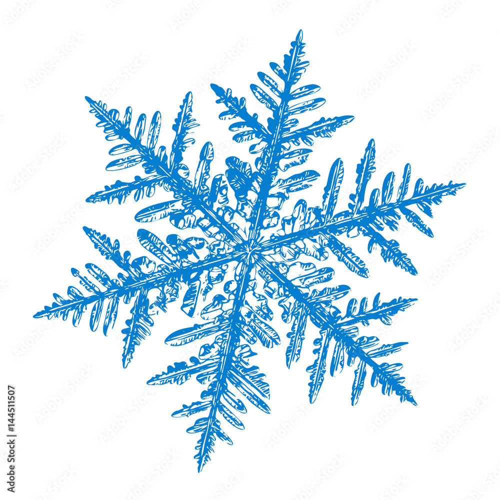 White Snowflake Background