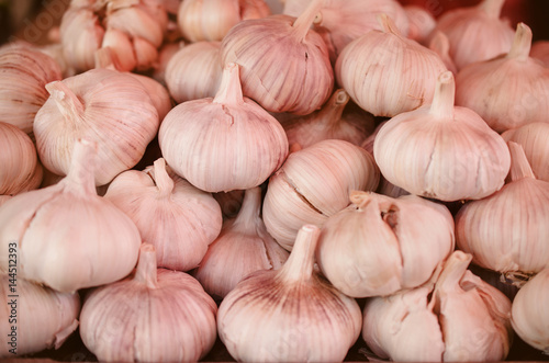Garlic close-up. Toned.