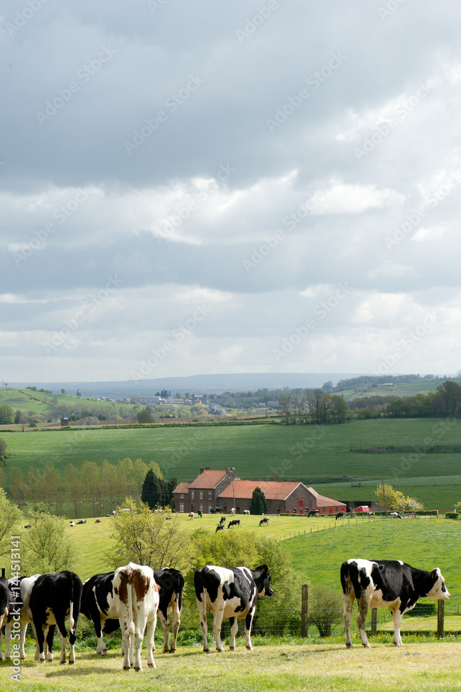 Uitzicht over het land van Herve, in de provincie Luik,Belgie.