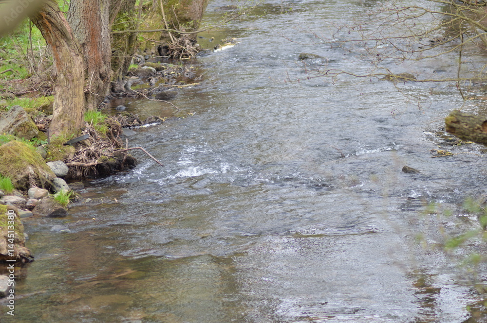 Am Bach Am Bach
