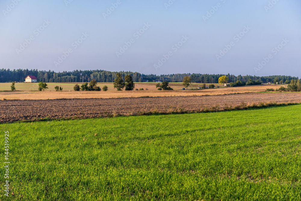 Rural landscape in Pomorskie Region of Poland