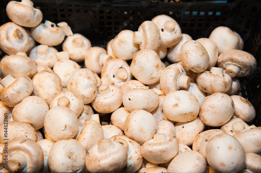 Mushrooms in shop Mushrooms in shop
