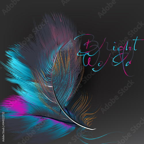 Creative fashion background with feathers in blue and pink color