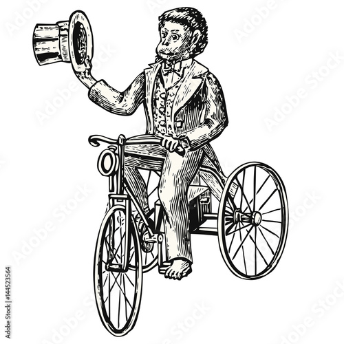 Monkey With costume and Bike