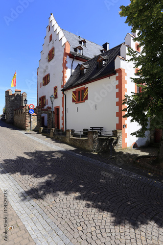 Castle, Hutten castle, Bad Soden-Salmunster, Hesse, Germany, Europe photo