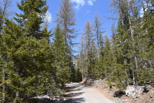 Lienz, Osttirol, Lienzer Dolomiten, Dolomitenhütte, Karlsbader Hütte, Wanderweg, Weg, wandern photo