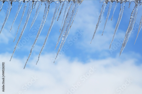 Icicles.Background of blue sky in the spring.