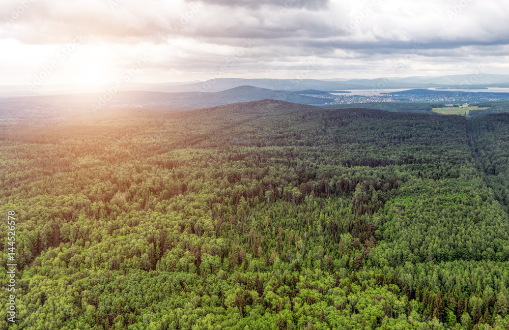 Naklejka premium Northern landscape. Endless forests