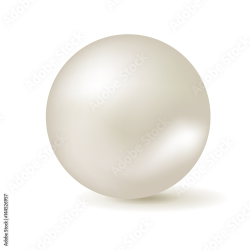 Vector isolated white pearl.