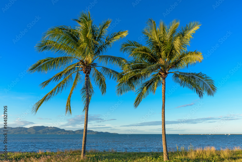 Fototapeta premium Two palm trees on a tropical beach with a island and blue sky in the background