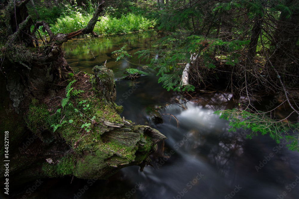 Snag covered with moss near water flow forest river. Snag covered with moss near water flow forest river.
