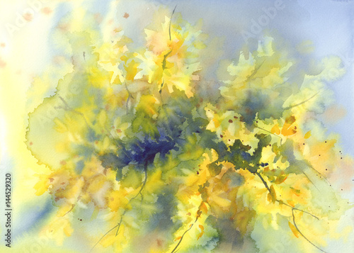 forsythia yellow flowers watercolor background © Egle