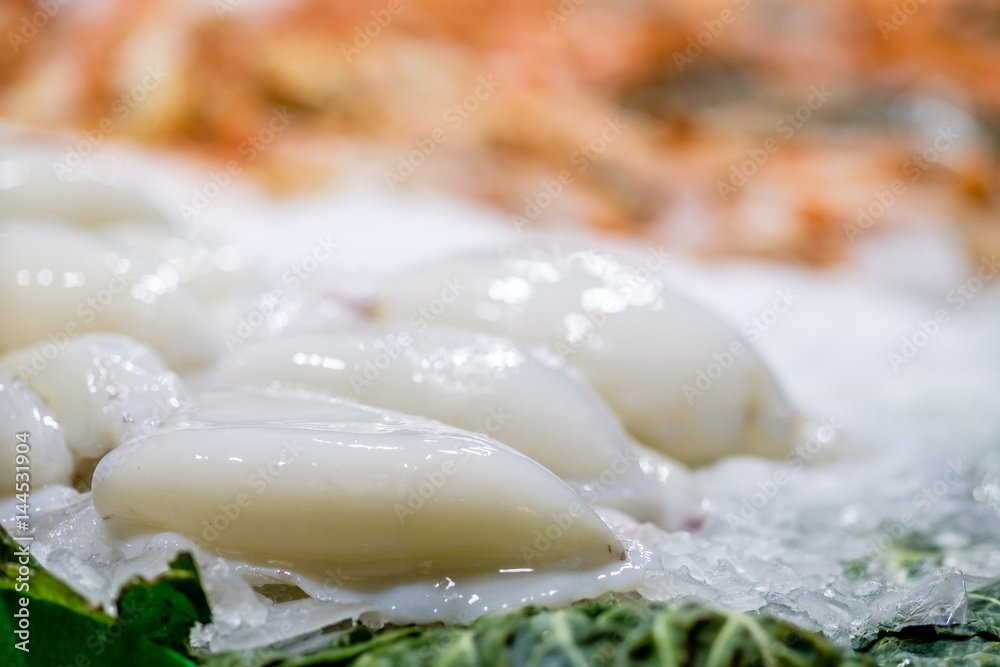 Fresh squid on market display