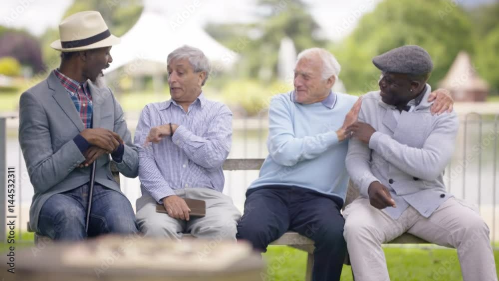 Portrait happy multiracial senior friends relaxing & chatting in the park Portrait happy multiracial senior friends relaxing & chatting in the park