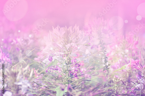abstract fantasy flowers for background