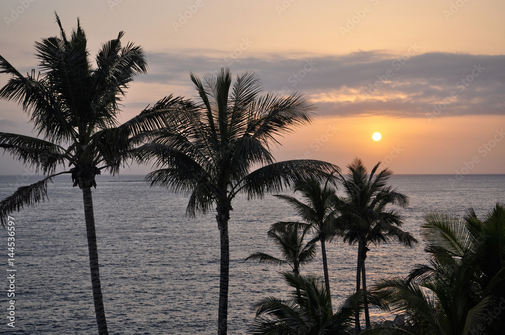 Obraz premium Palm silhouettes and sunset over the ocean.