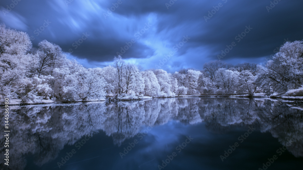 Trees on the pond. Infrared landscape