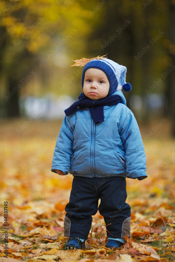 cute little boy in autumn park cute little boy in autumn park