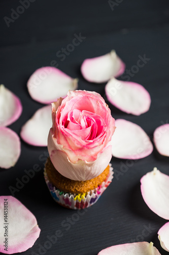 Vanilla muffin with rose flower on the dark wooden background. Shallow depth of field.
