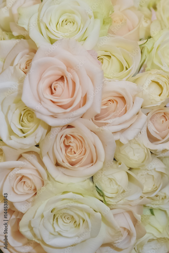 Obraz premium ブライダルイメージ,華麗で優美なとても素敵なウェディング