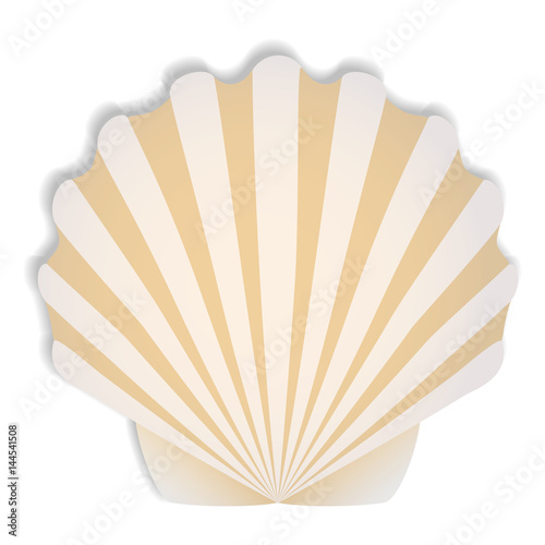 Shells in beige tones vector illustration. Summer themes, marine life.