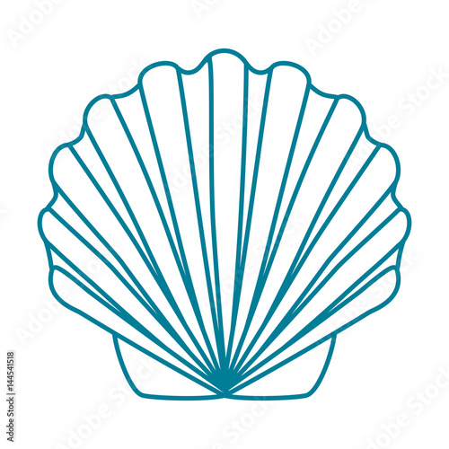 Contour shell scallop. Template for the design of goods with a marine theme.